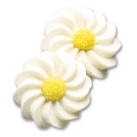 Margeriten, weiß
