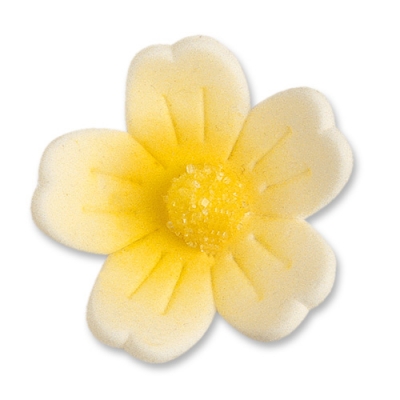 60 St. Feinzuckerblumen gross gelb 