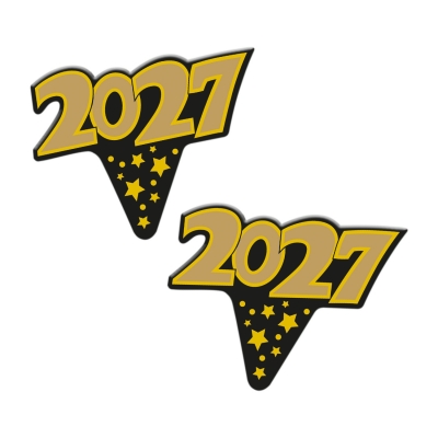 100 St. Einstecker Silvester  Jahreszahl 